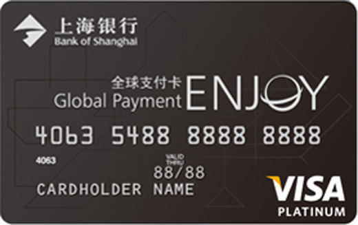 Visa全球支付信用卡