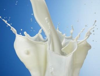 澳洲奶粉优势显著