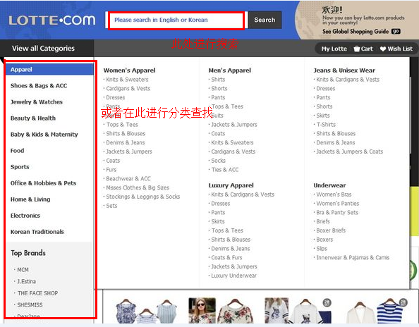 Lotte韩国乐天官网海淘图文攻略