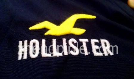 Hollister夹克上的海鸥刺绣