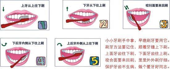 宝宝不爱刷牙怎么办?推荐可吞咽的BEELAB儿童牙膏