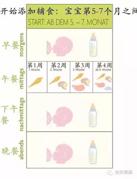 宝宝辅食添加四步骤，一岁前辅食如何加、何时加、加多少？干货！