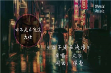 抖音原谅曾经的荒唐那放不下的倔强是什么歌？