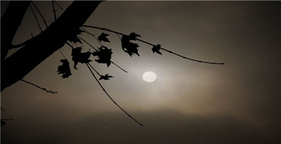 抖音和不懂我的人说抱歉是什么歌？