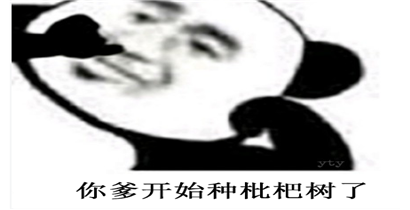 你爹开始种枇杷树了是什么梗？