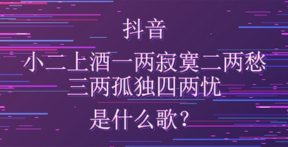 抖音小二上酒来一两寂寞二两愁是什么歌？