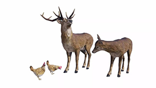 /article/787.htmltitle