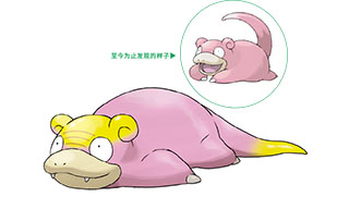 宝可梦剑盾呆呆兽图鉴（伽勒尔的样子）​