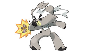 宝可梦剑盾熊徒弟图鉴