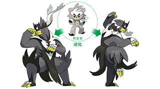 宝可梦剑盾武道熊师图鉴